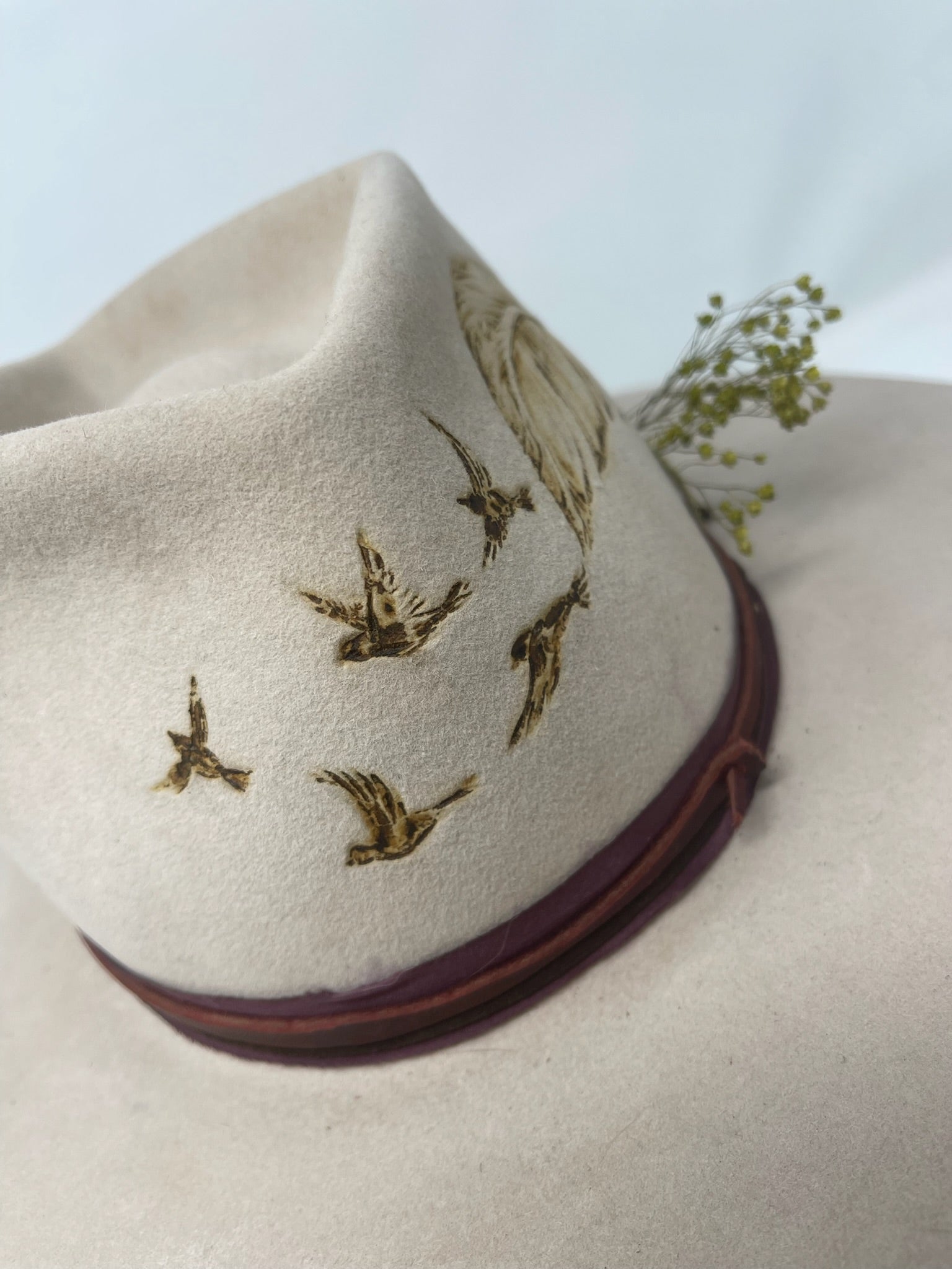 Sparrows