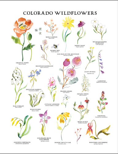 Wildflower Poster by TrueCotton